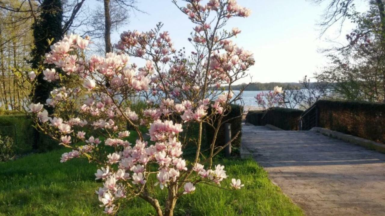 Seeblick III Bad Saarow-Pieskow Exterior foto